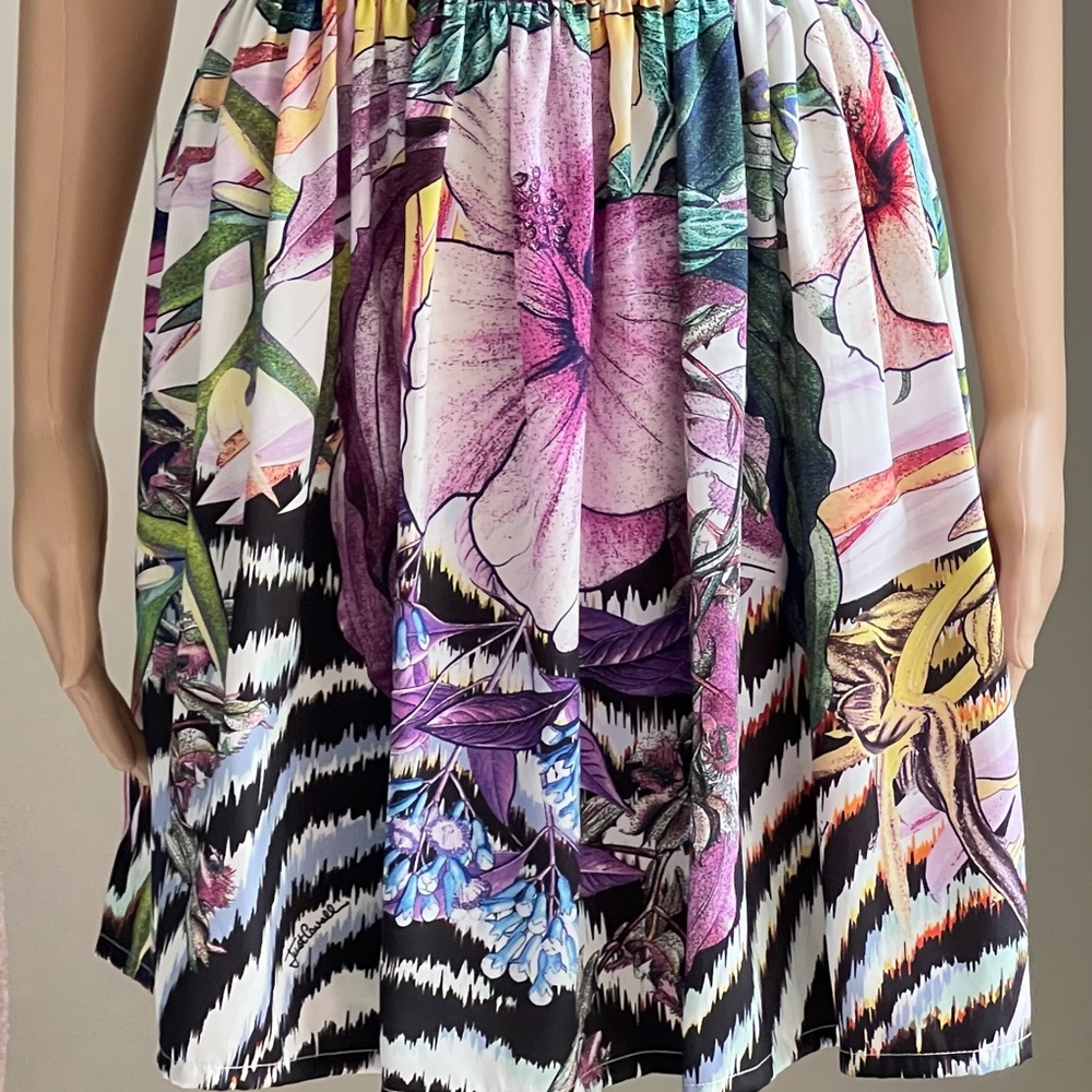 Just Cavalli NEW Printed Floral Art to Wear Dress Size 4 ๐ NWT - Picture 4 of 15